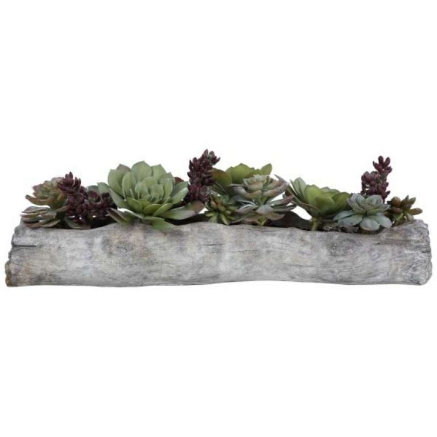 Decor * | Special Charita Succulents