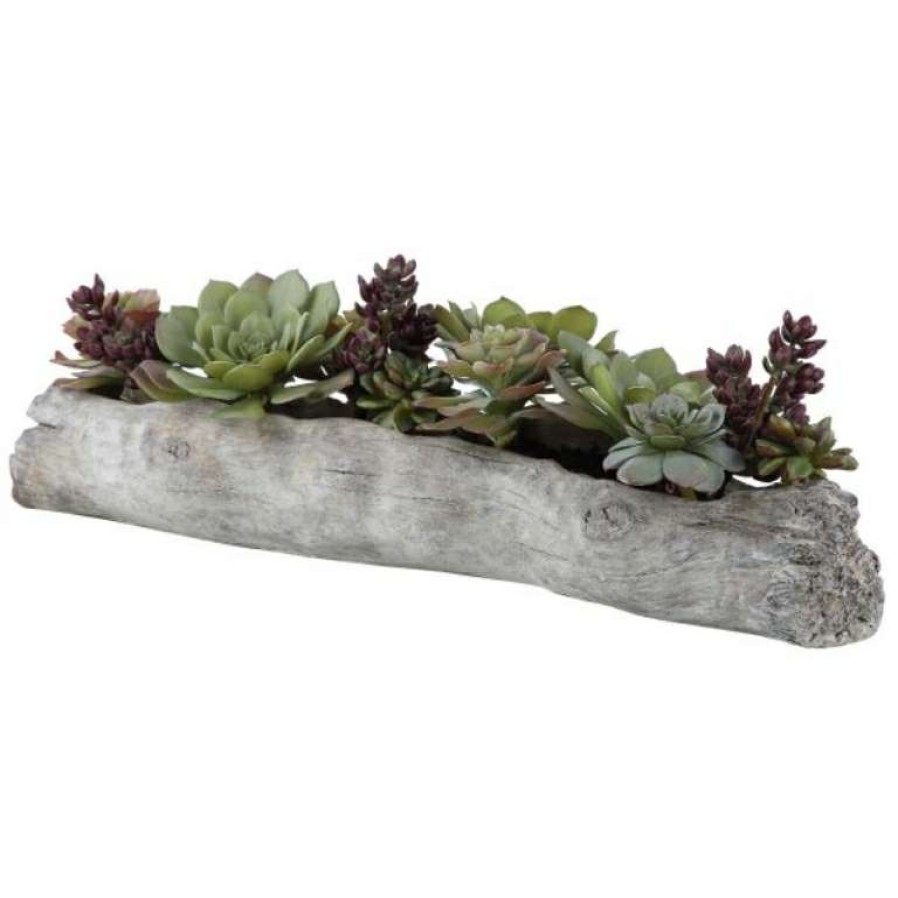 Decor * | Special Charita Succulents