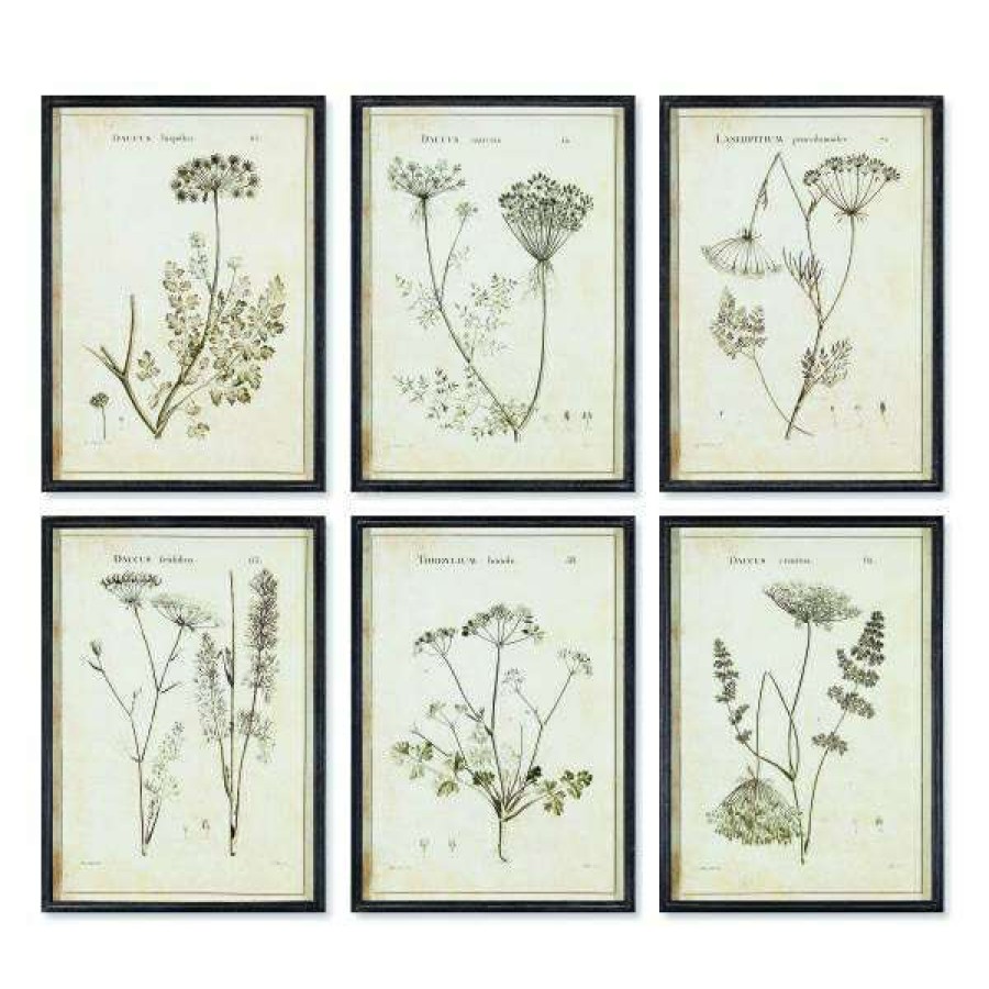 Decor * | Bestsellers Wildflower Study Set