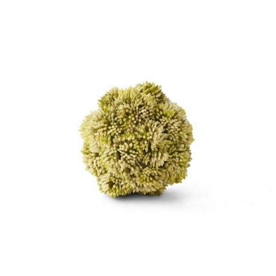 Decor * | Bestsellers Small Sedum Ball