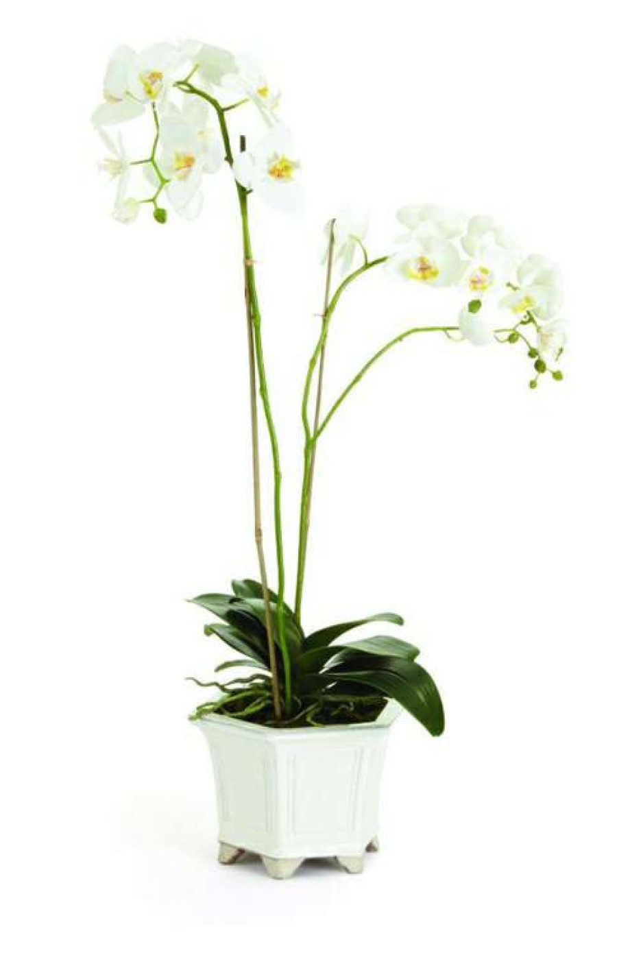 Decor * | Best Sale Tall Barclay Butera Phalaenopsis