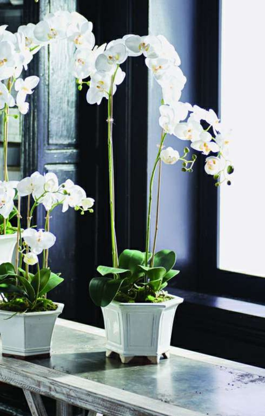 Decor * | Best Sale Tall Barclay Butera Phalaenopsis