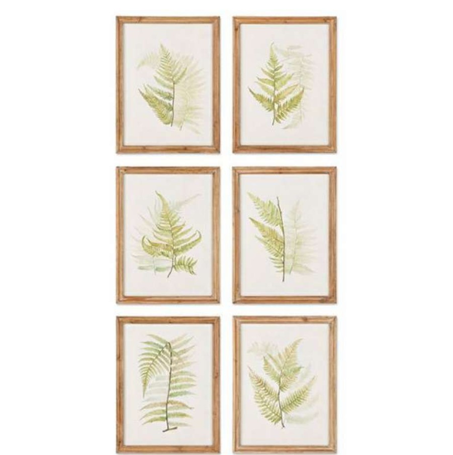 Decor * | Flash Sale Framed Fern Study Set