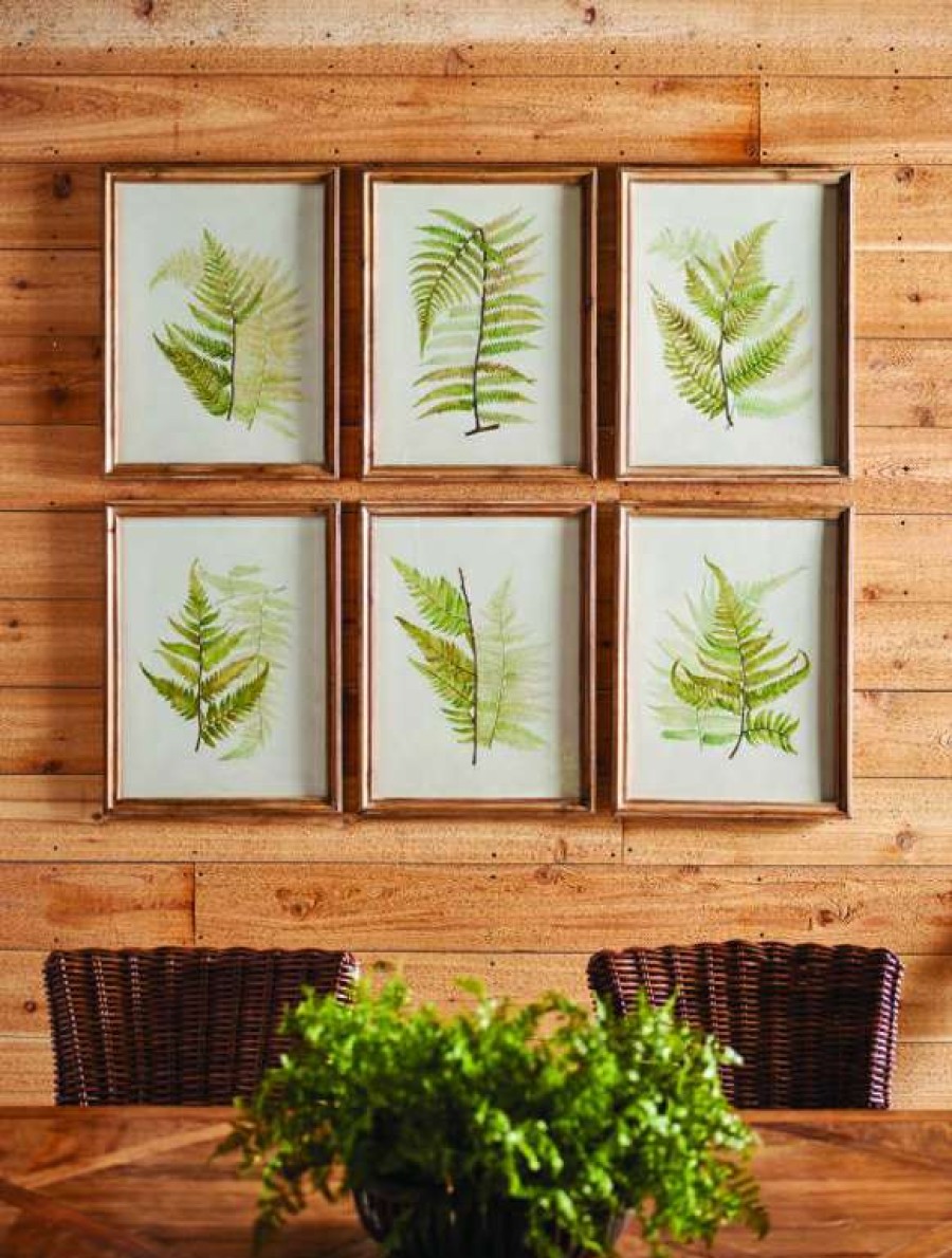 Decor * | Flash Sale Framed Fern Study Set