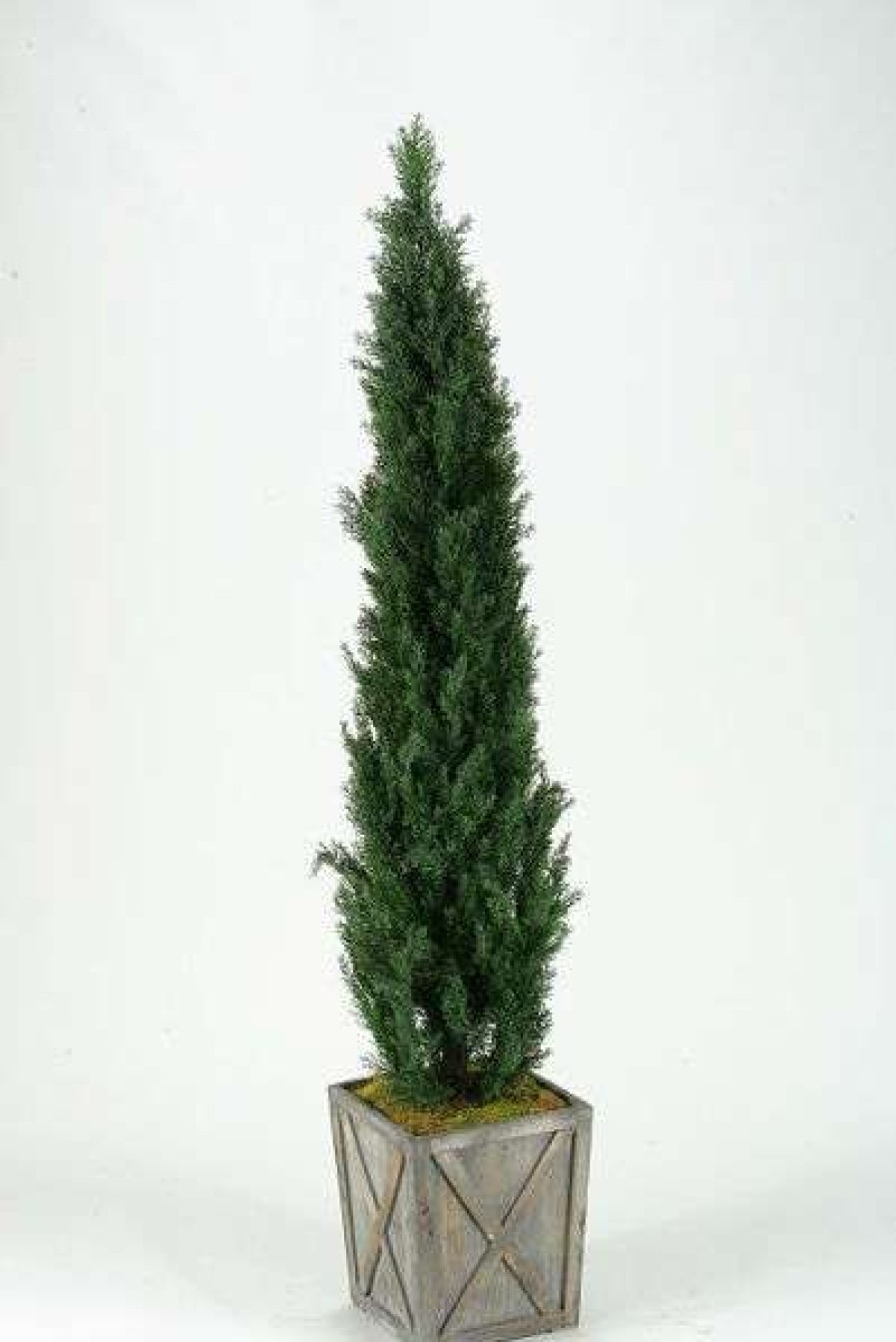 Decor * | Opening Sales Planted Cedar Tree