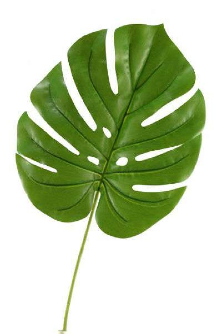 Decor * | Opening Sales Jumbo Split Leaf Philo