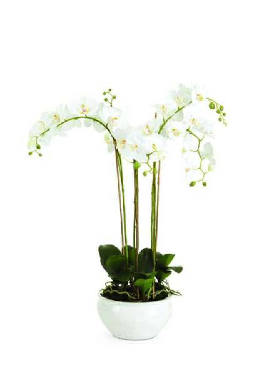 Decor * | Large Choice Short Barclay Butera Phalaenopsis