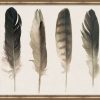 Decor * | Opening Sales Muted Feathers Ii