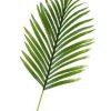 Decor * | Special Large Hawaiian Palm Leaf