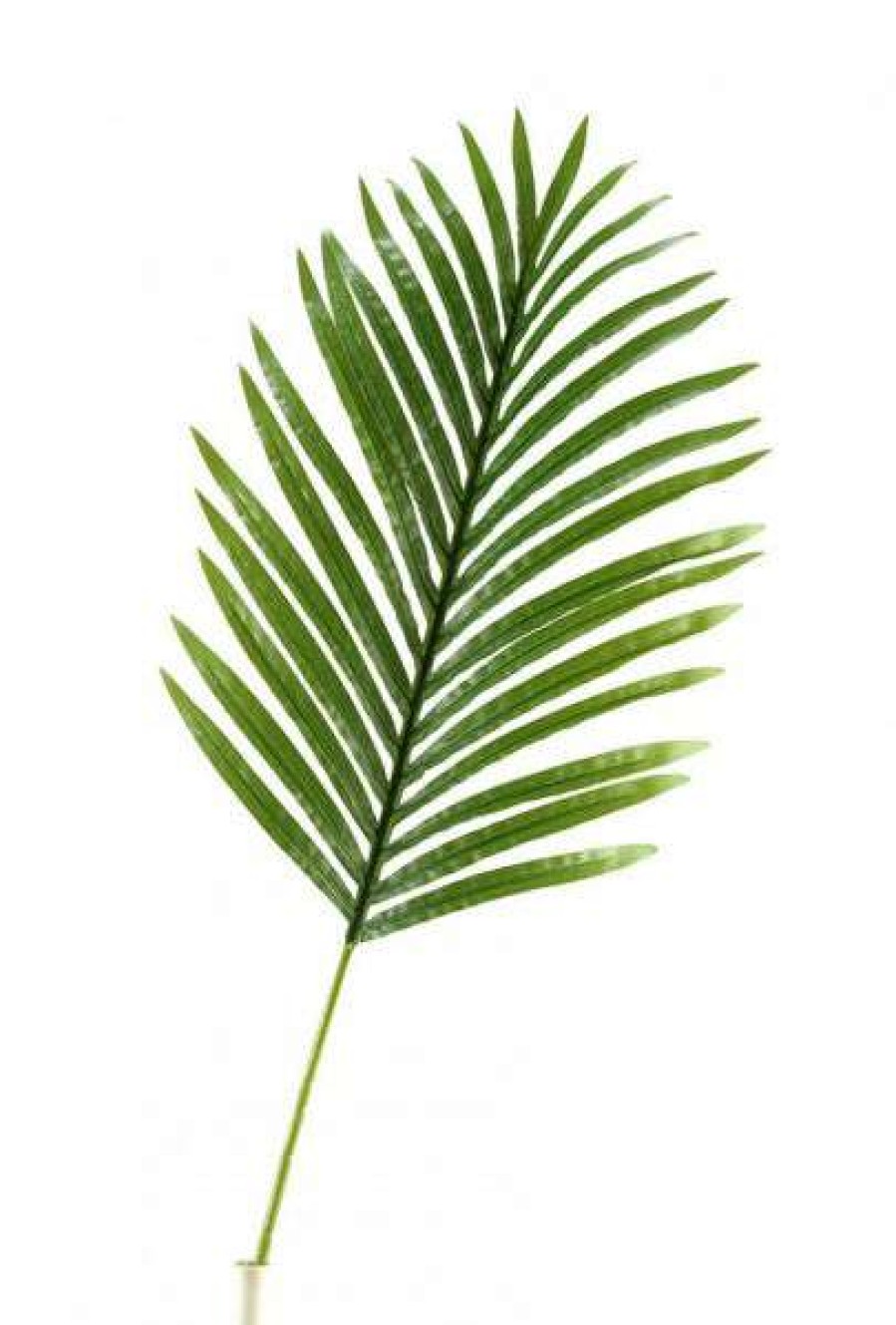 Decor * | Special Large Hawaiian Palm Leaf