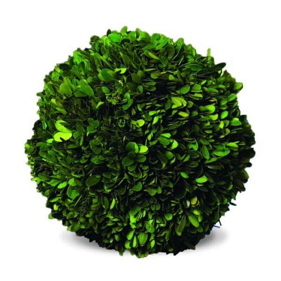 Decor * | Premium Preserved Boxwood 10 Ball