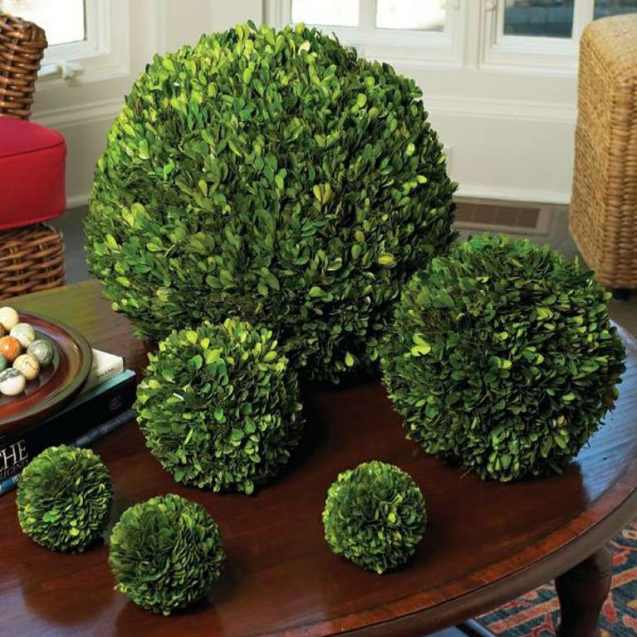 Decor * | Premium Preserved Boxwood 10 Ball