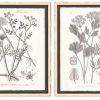 Decor * | Best Sale Grey Botanicals Set